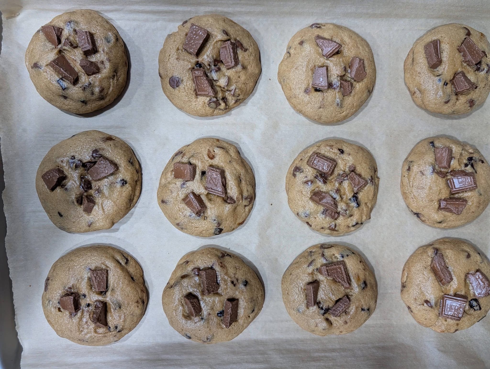 A dozen chocolate chunk cookies fresh from the oven